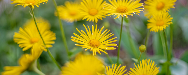 Similar image 21827745