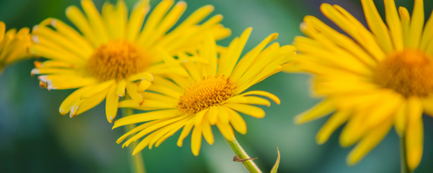 Similar image 21827746