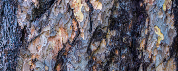 Similar image 21827751