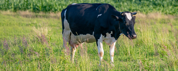 Similar image 21827756