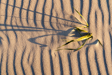 Similar image 21827759