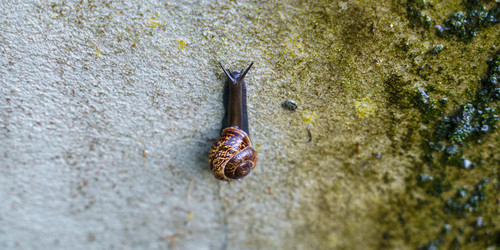 Similar image 21827762