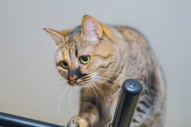 Similar image 21827769