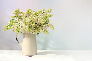 Similar image 21826108