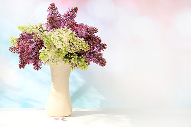 Similar image 21826109