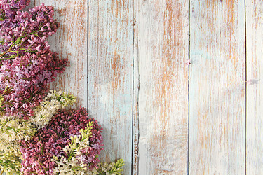 Similar image 21826110