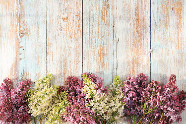 Similar image 21826111