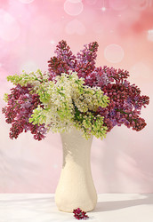 Similar image 21826113