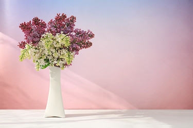 Similar image 21826114