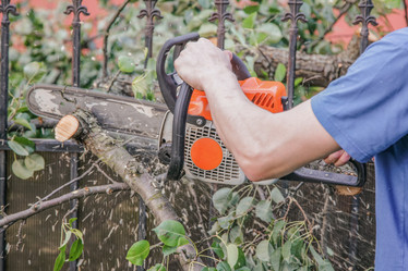 Similar image 21827774