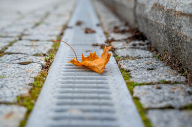 Similar image 21827785