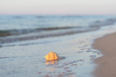 Similar image 21827788