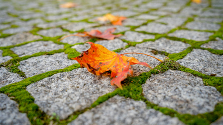 Similar image 21827789