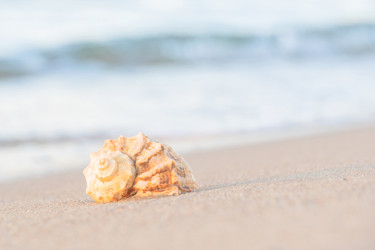 Similar image 21827790