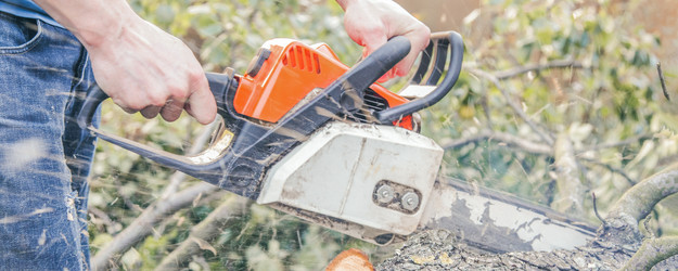 Similar image 21827800