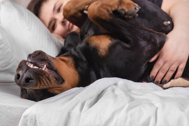 Similar image 21825849