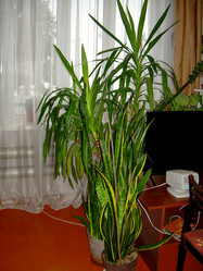 Similar image 21826573