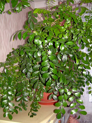 Similar image 21826574