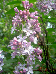 Similar image 21826576