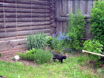 Similar image 21826578