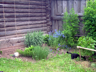 Similar image 21826579