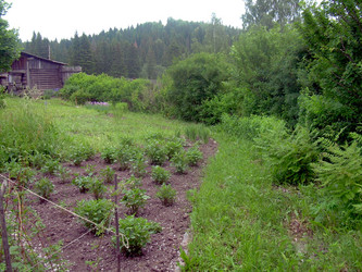 Similar image 21826580