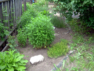 Similar image 21826581