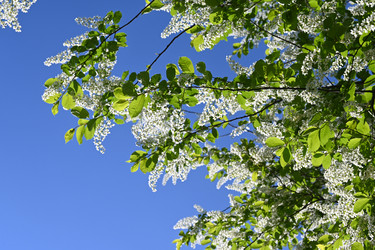 Similar image 21825747