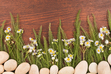 Similar image 21826418