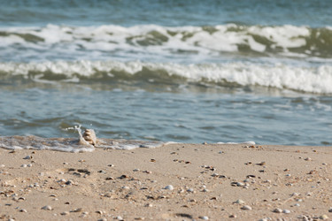 Similar image 21826419