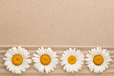 Similar image 21826425