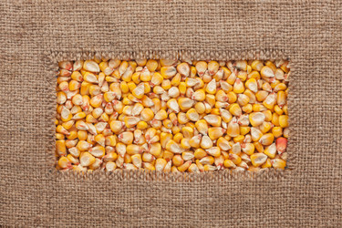 Similar image 21826438