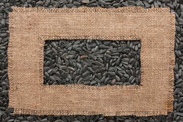 Similar image 21826490