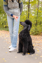 Similar image 21825859