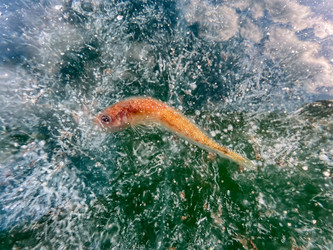 Similar image 21826925