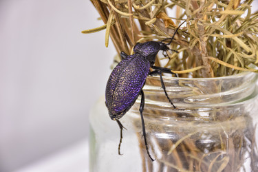 Similar image 21826928