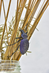 Similar image 21826930