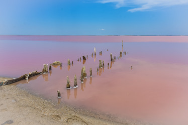 Similar image 21826934