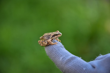 Similar image 21826936