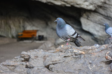 Similar image 21826942