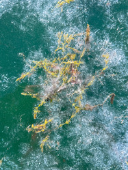 Similar image 21826943