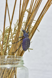 Similar image 21826947