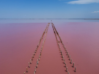 Similar image 21826950