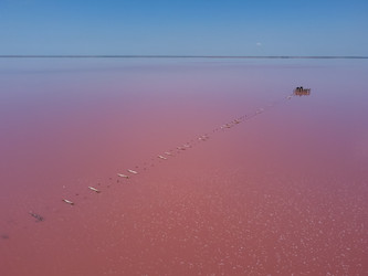 Similar image 21826954