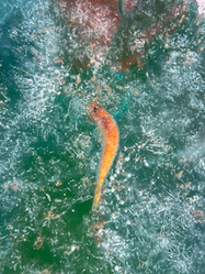 Similar image 21826969