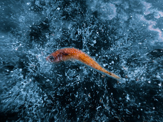 Similar image 21826971