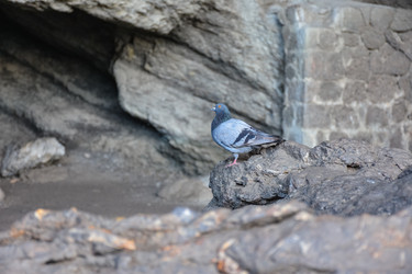 Similar image 21826973