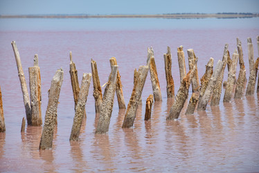 Similar image 21826753