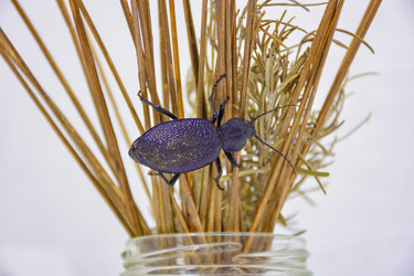 Similar image 21826754