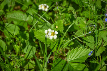 Similar image 21826999